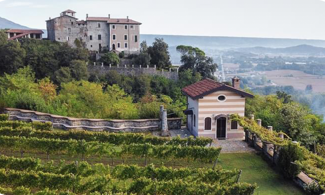 SpazioBianco e Vigna del Belvedere